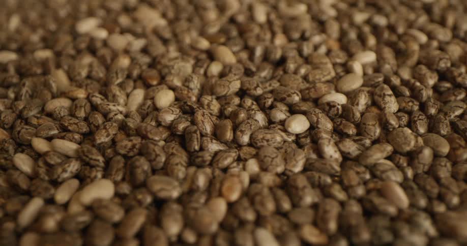 Produce beans are displayed in studio