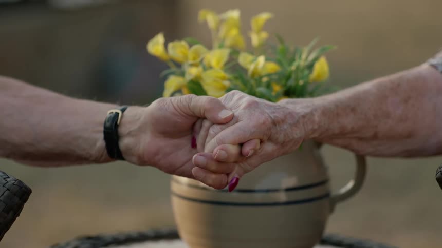 An elderly couple hold hands while sitting next to a vase with flowers at evening