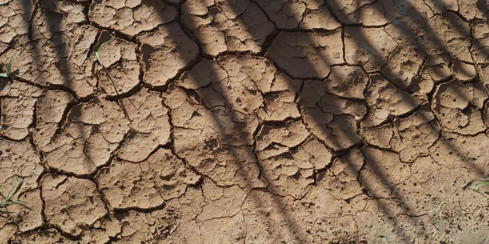 Shadows of people walking in a desert is displayed