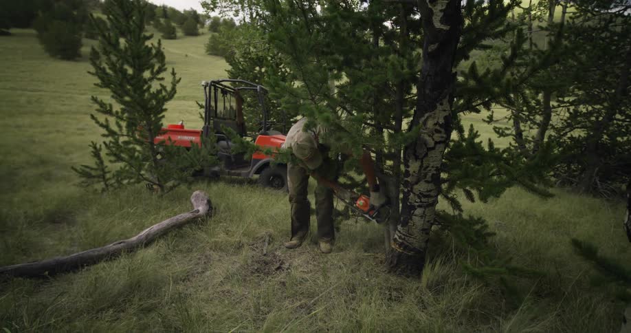 Man saws tree down using chainsaw near parked vehicle