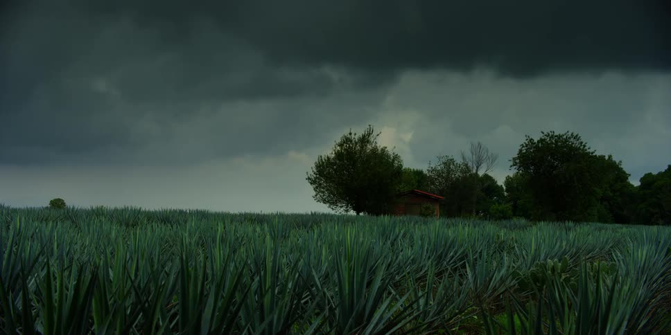 Dark cloud hovering over trees across a field in the countryside