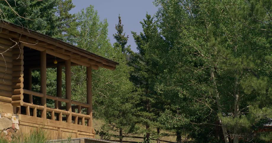 Exterior view of wooden country house near the forest