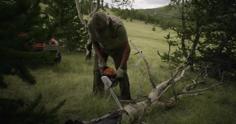 A man uses a chainsaw to cut a large tree branch lying in a field