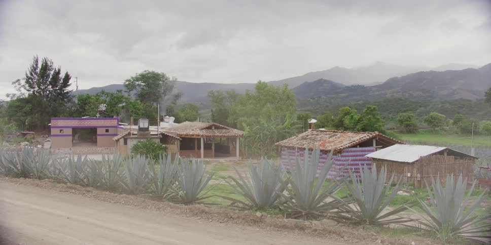 A van speeds down a dirt road past a set of small homes