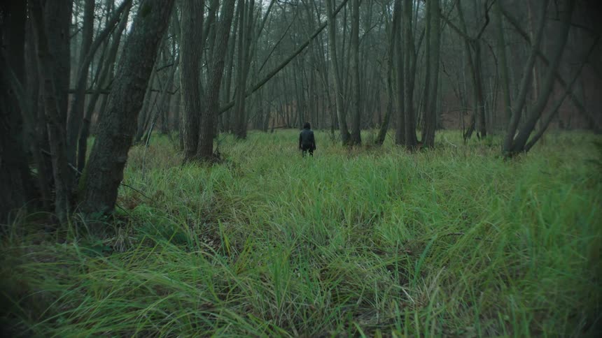 A woman wearing a black leather jacket is walking through tall grass into the woods