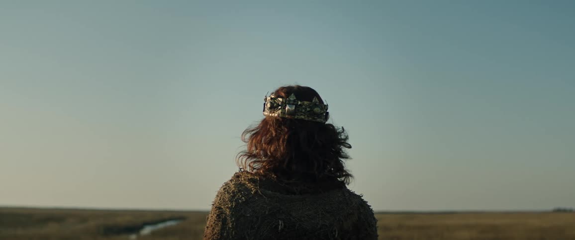 A young medieval king overlooking land