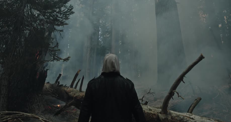 A man is standing near a fallen tree and flames as he watches the smoke rise in a forest fire