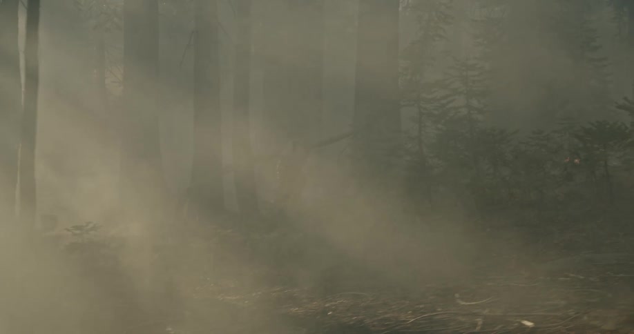 A man is running through a smoke filled forest as trees and branches are burning