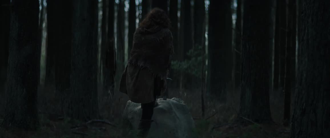 A young man pulls a sword from a stone in woods