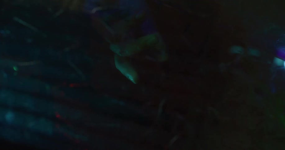 A persons hand reaches into the dark water
