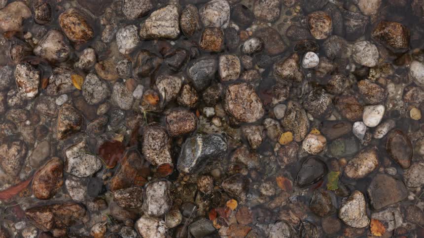 Gentle waves wash over the pebbles on the coast of a lake