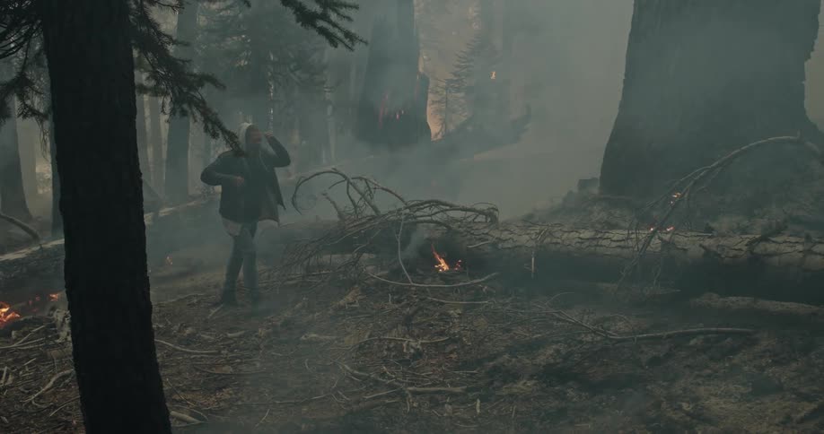 A man wearing a hoodie and a jacket is walking among burning trees and branches in a smoke filled forest fire