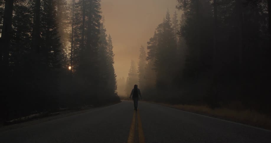 Silhouette of a man walking in the middle of a road through a smoke filled forest