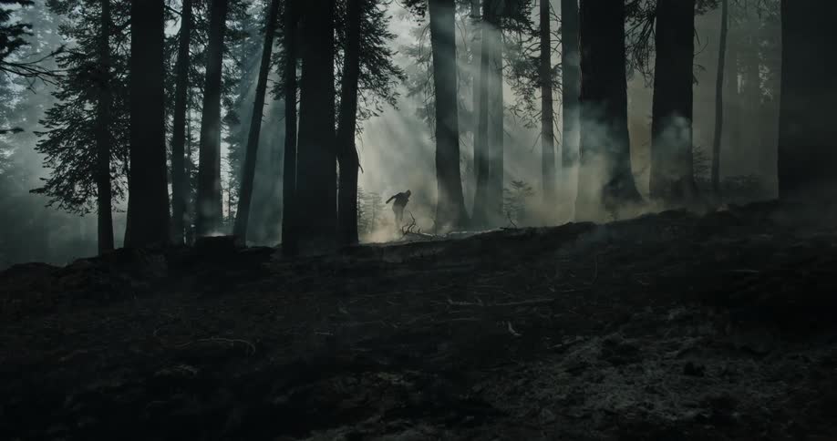 Silhouette of a man walking in a smoke filled forest as rays of light shine through the trees