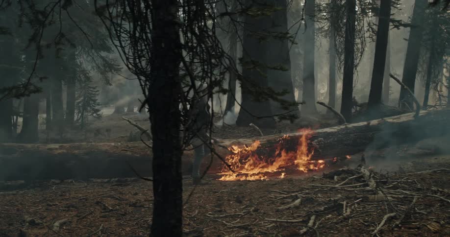 Man wearing hoodie and face mask stands on burning fallen tree before jumping down and walking past fire sending smoke throughout forest