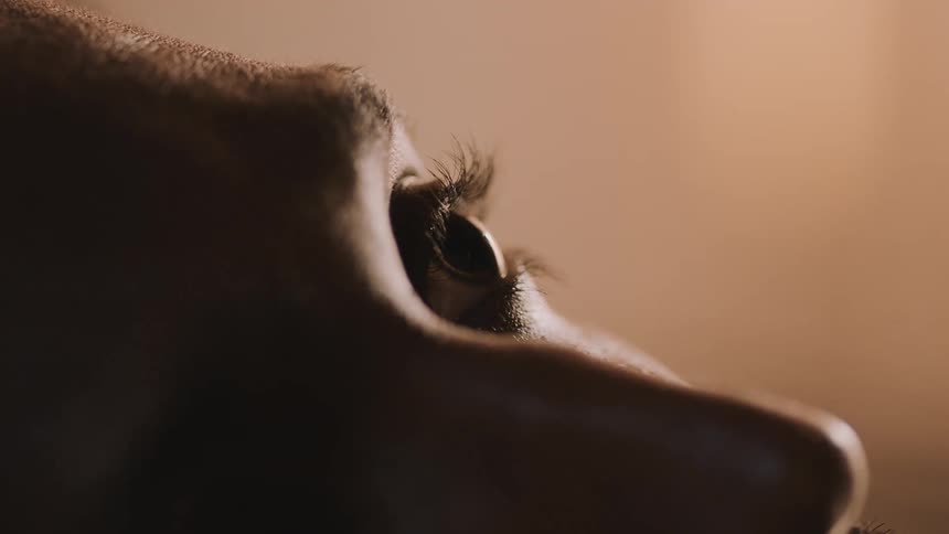 Close up of the eye of a woman looking up
