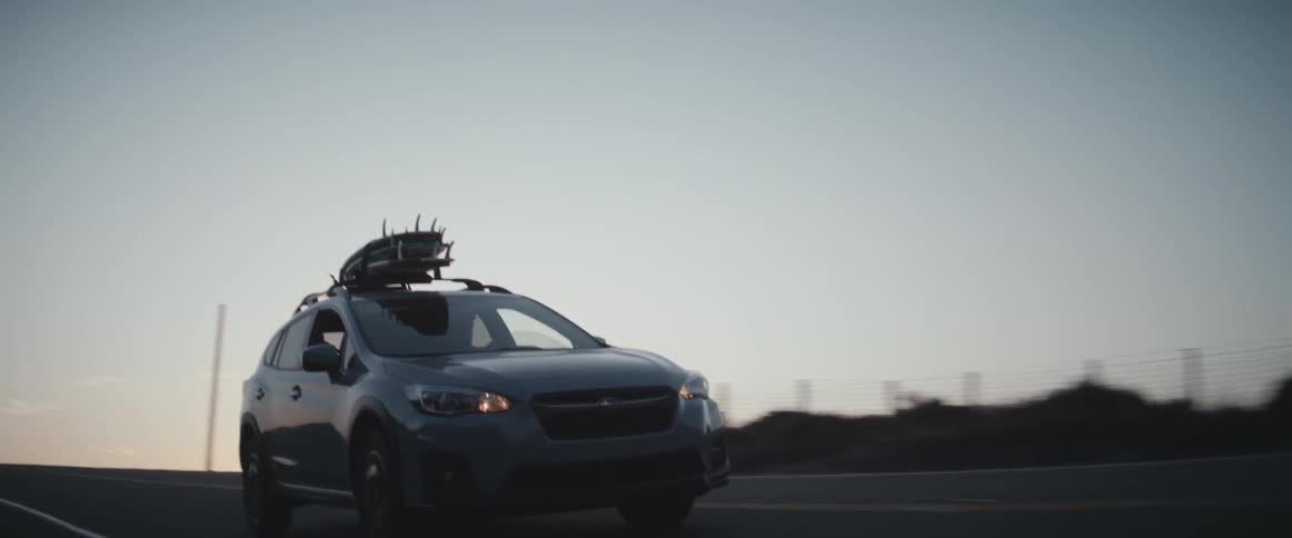 A car is driving with a tree on the roof