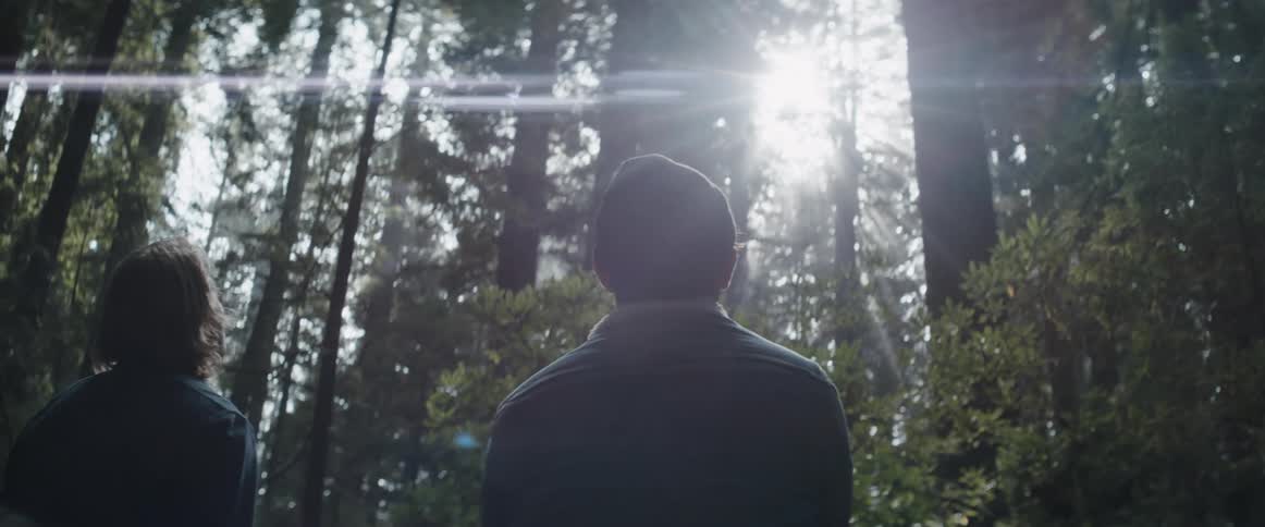 Silhouette of a couple of men standing in the middle of a forest looking at the sun