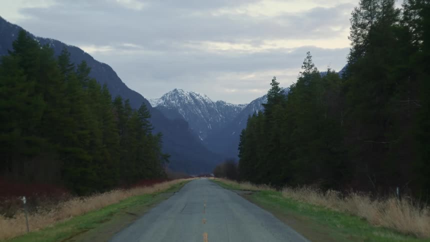 A road through a woodland in a mountainous countryside during the day