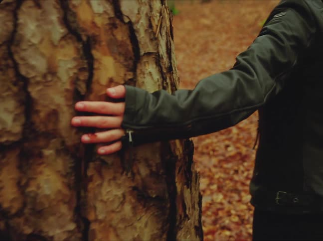 A person in a leather jacket running their hand along a large tree trunk in autumn