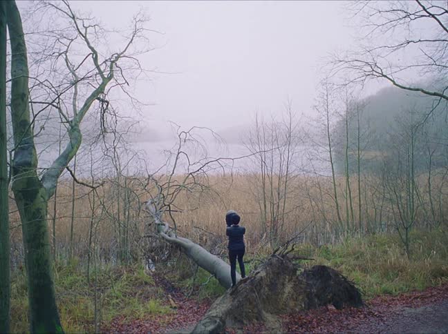 A woman stands in front of a lake by a fallen tree and puts a helmet on