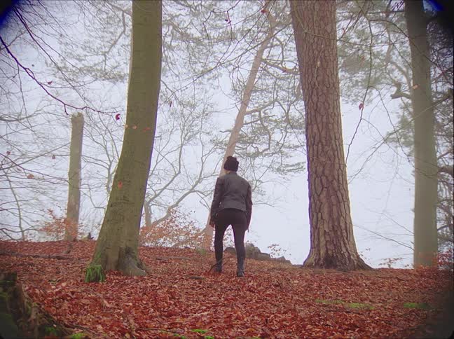 A person walks up a hill in the woods