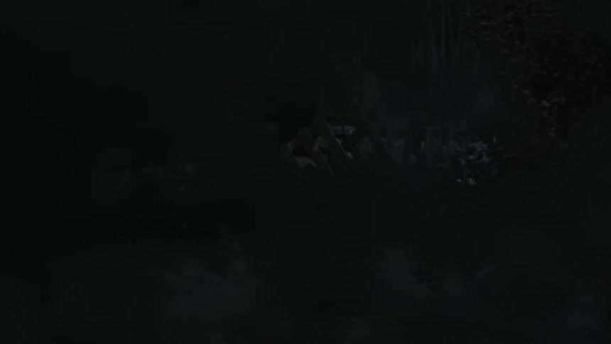 A man walks through the woods alone at night