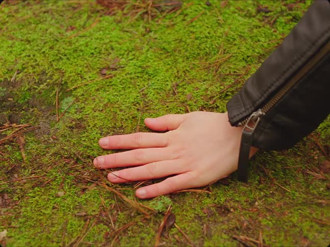 A person touches the moss on the ground