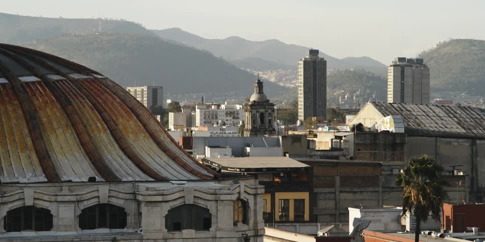 A palm tree near the city moves in the wind as tall buildings stand out in a crowded city built around mountains