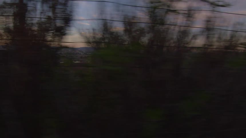 Sunset sky behind the treeline seen from a moving vehicle at evening