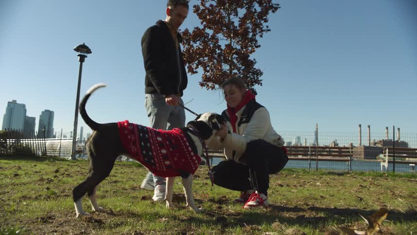 A woman is petting a mans dog in the park