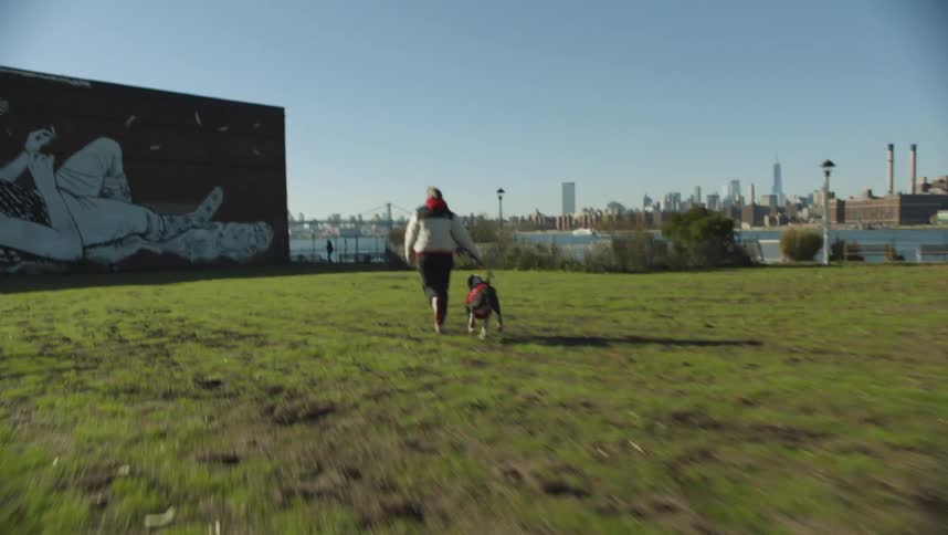 A dog runs after its owner in a dog park
