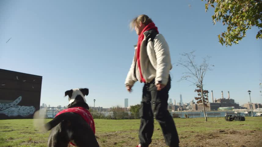 A woman is throwing a stick in the park for her dog to fetch