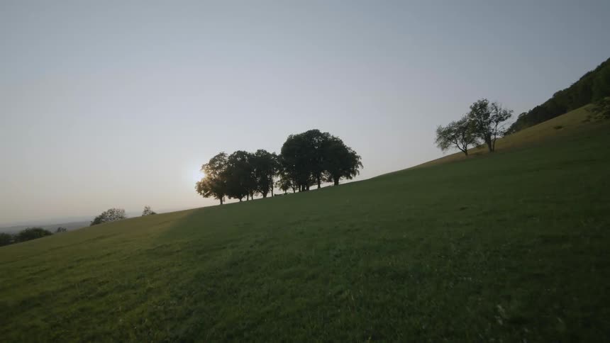An FPV drone shot rushing through trees and grass at sunset