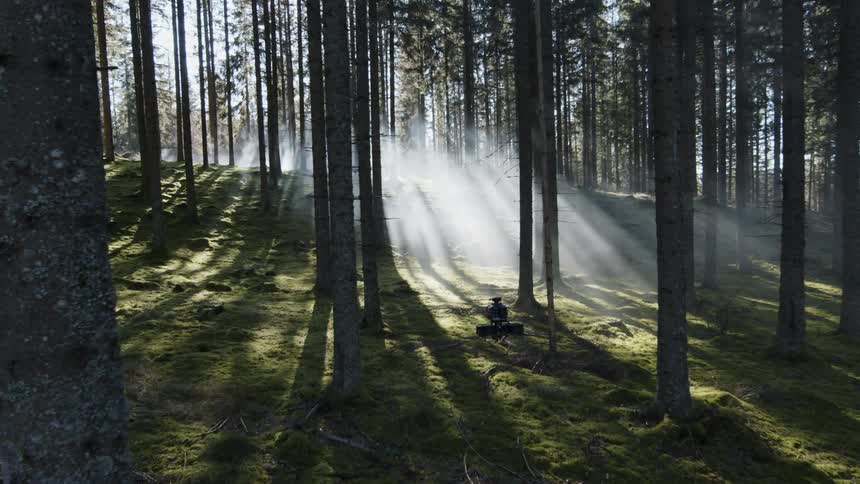 A drone flies past trees in the forest