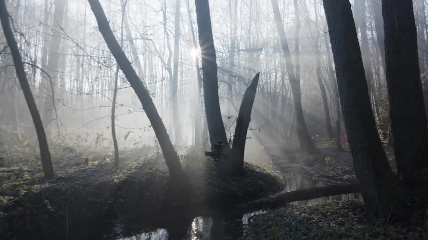 A small drone is flying over a stream in a foggy forest as the sun shines brightly through the trees