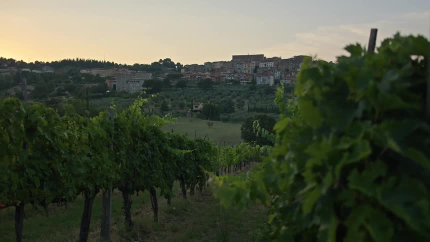 Village on the hills next to a vineyard in the morning
