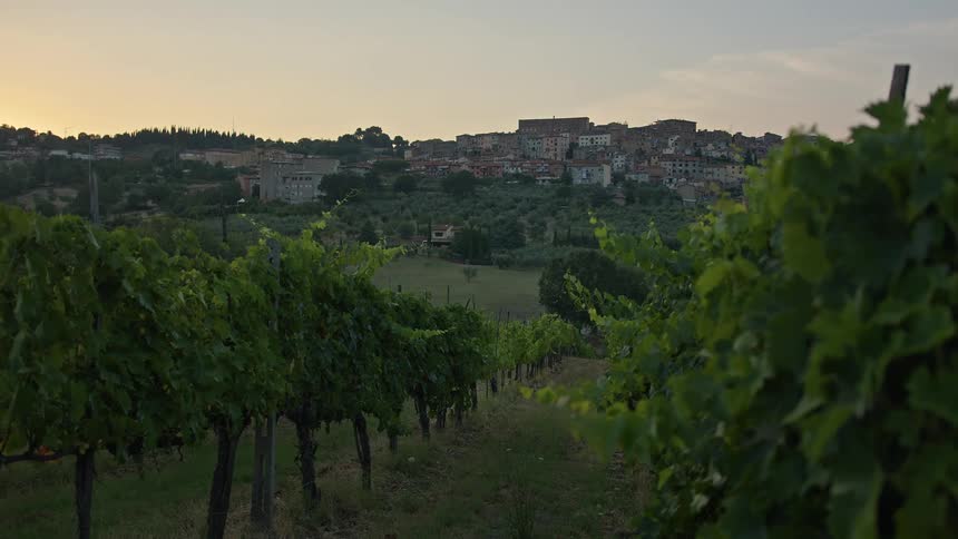 Village on the hills next to a vineyard in the morning