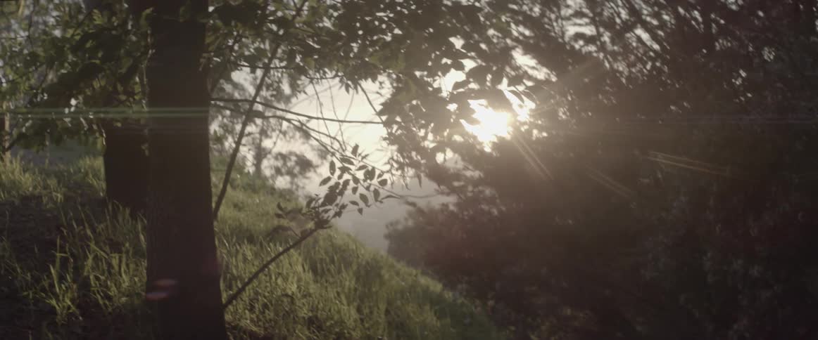 The sun is peeking in through the trees on this hill