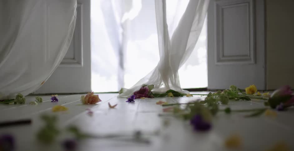 Flowers are covering the floor of this home