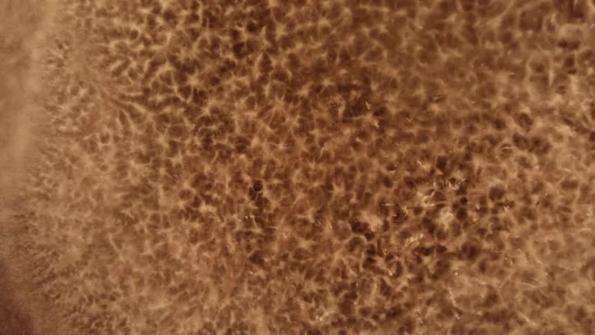 Close up top down view of the vibration patterns on a surface covered with sand