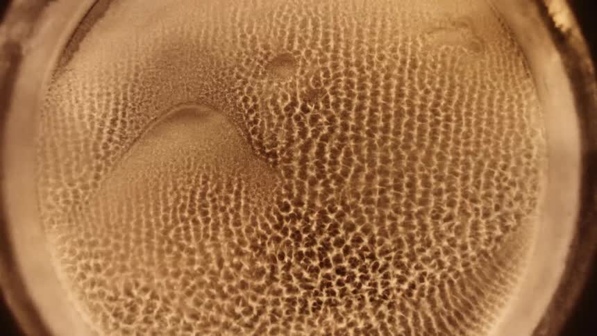 A gold pulsating disk vibrates as it becomes a powder and spreads as it bounces