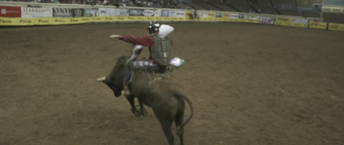 A man gets on a bull and rides until getting bucked off