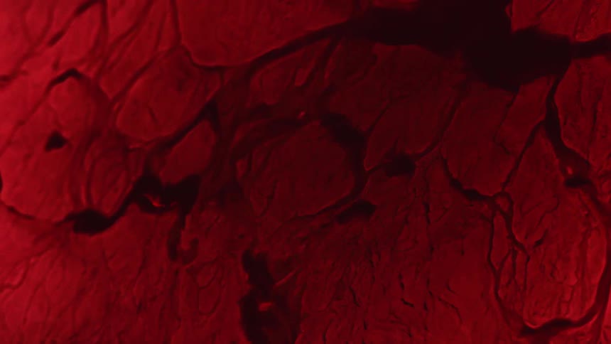 Red cracked objects break apart as the liquid moves
