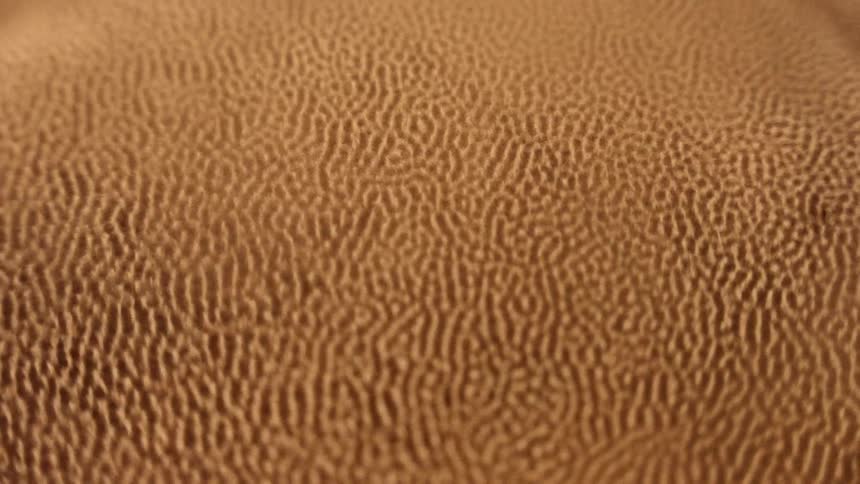 Close up top down view of the vibration patterns on a surface covered with sand