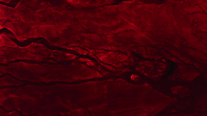 Red cracked objects break apart as the liquid moves