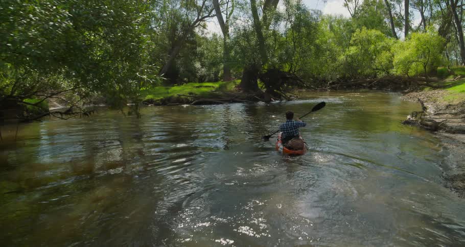 A person kayaks on a river through trees midday