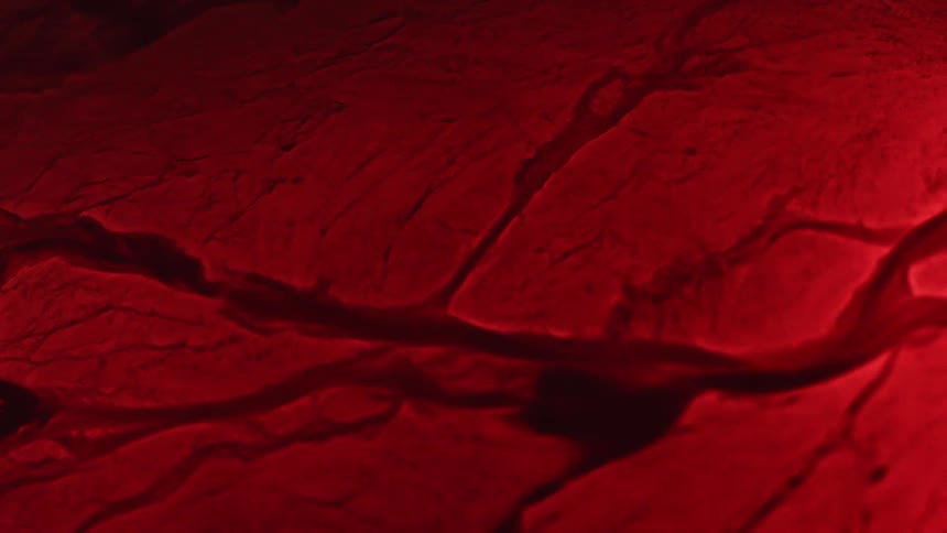 Close up of pulsing liquid creating veins on a dark red tissue