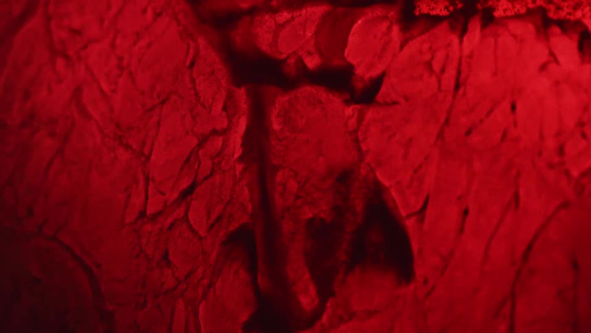 A view of blood flowing in a persons veins