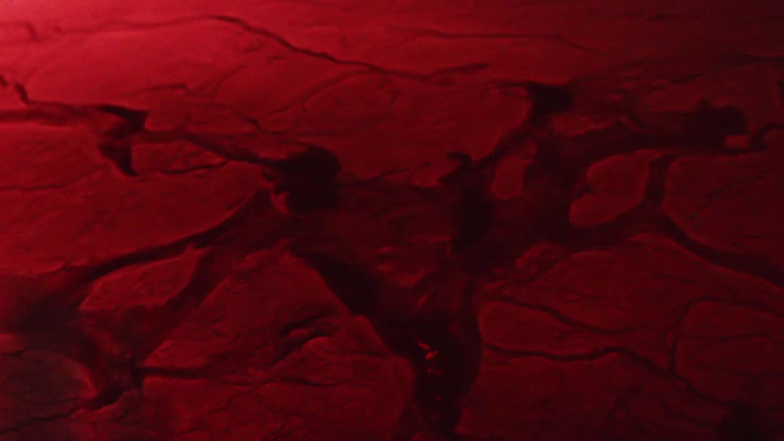 Close up of pulsing liquid creating veins on a dark red tissue
